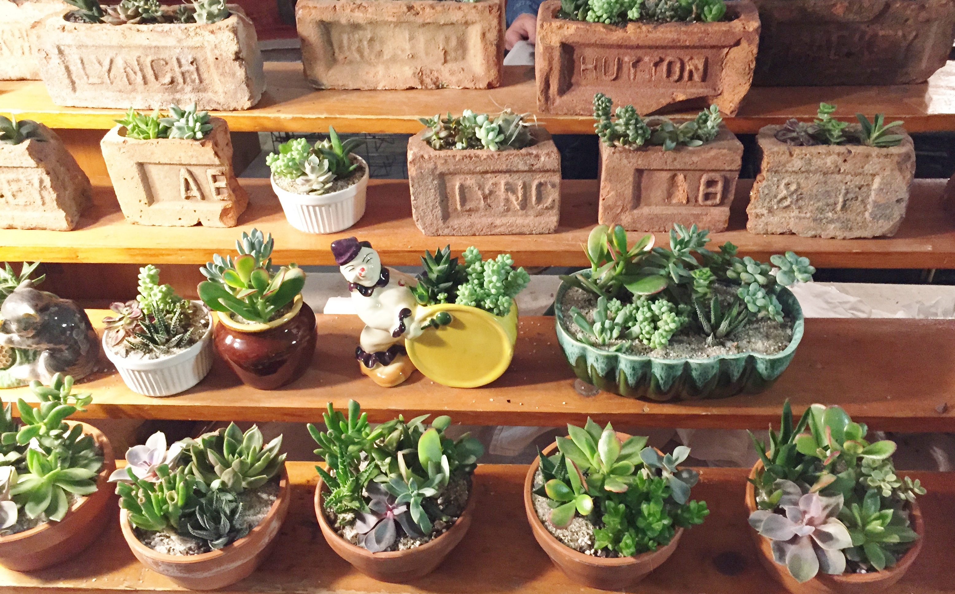 Plants and Bricks